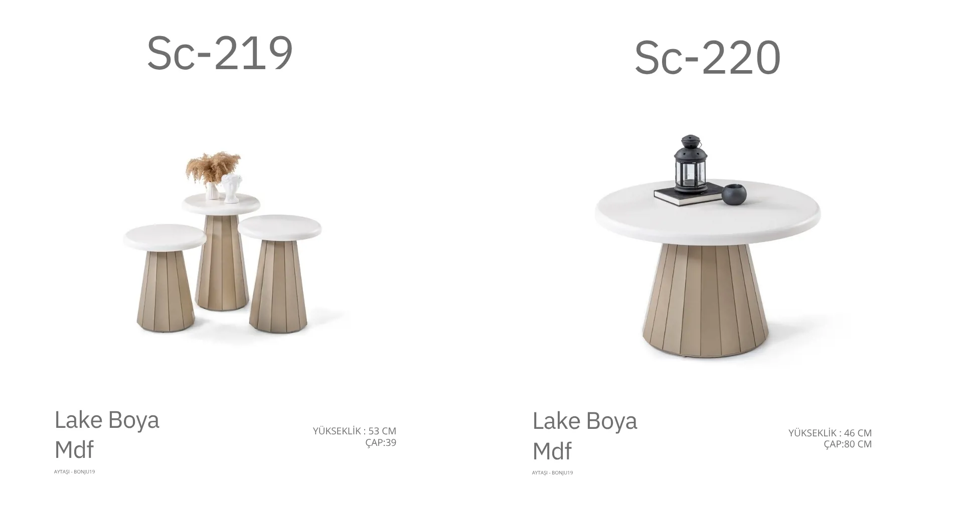 Sc-219 ve Sc-220 Lake Sehpa