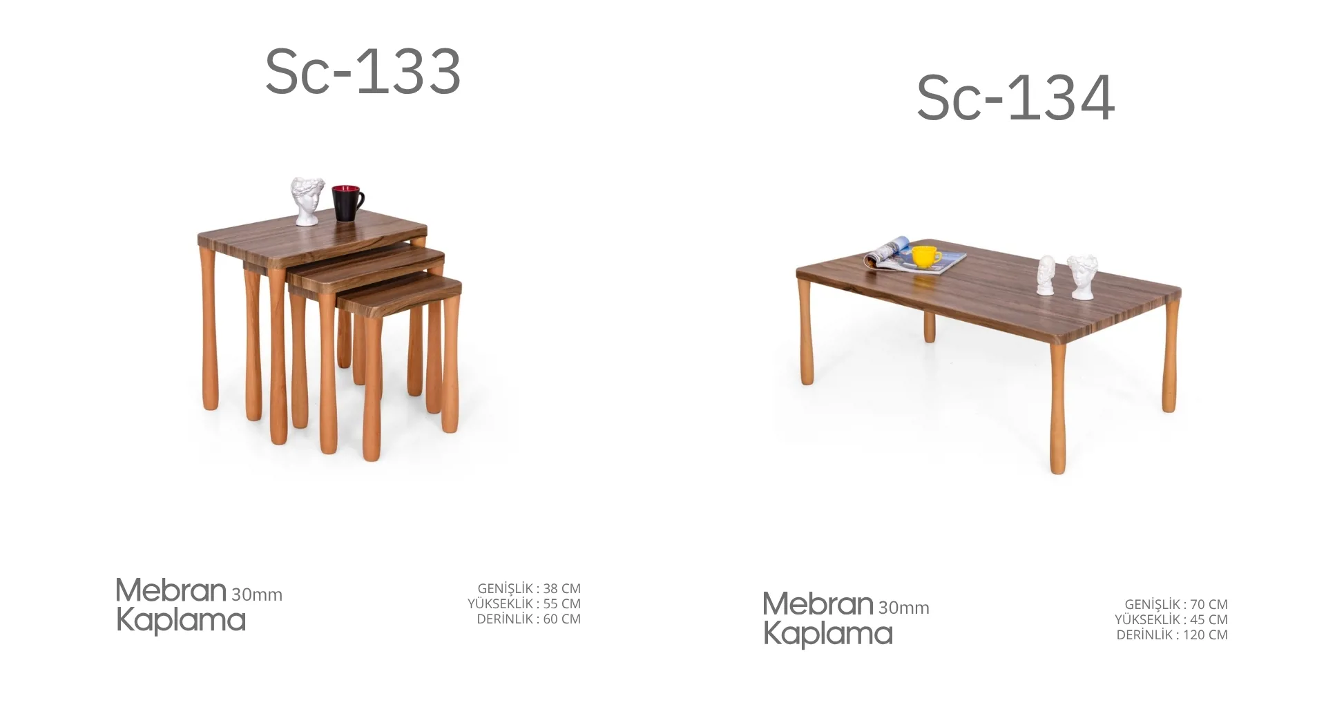 Sc-133 ve Sc-134 Mebran Kaplama Sehpa