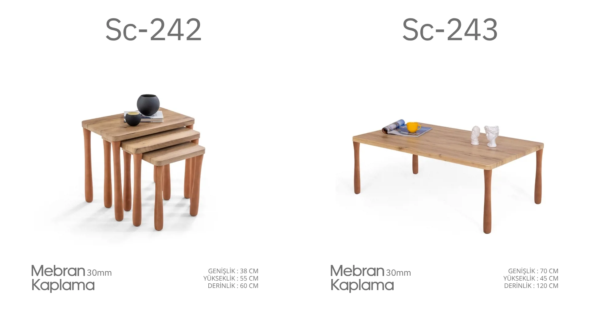 Sc-242 ve Sc-243 Mebran Kaplama Sehpa