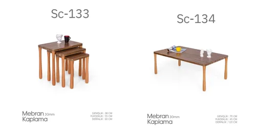 Sc-133 ve Sc-134 Mebran Kaplama Sehpa