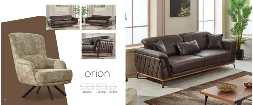 Orion Koltuk Takımı